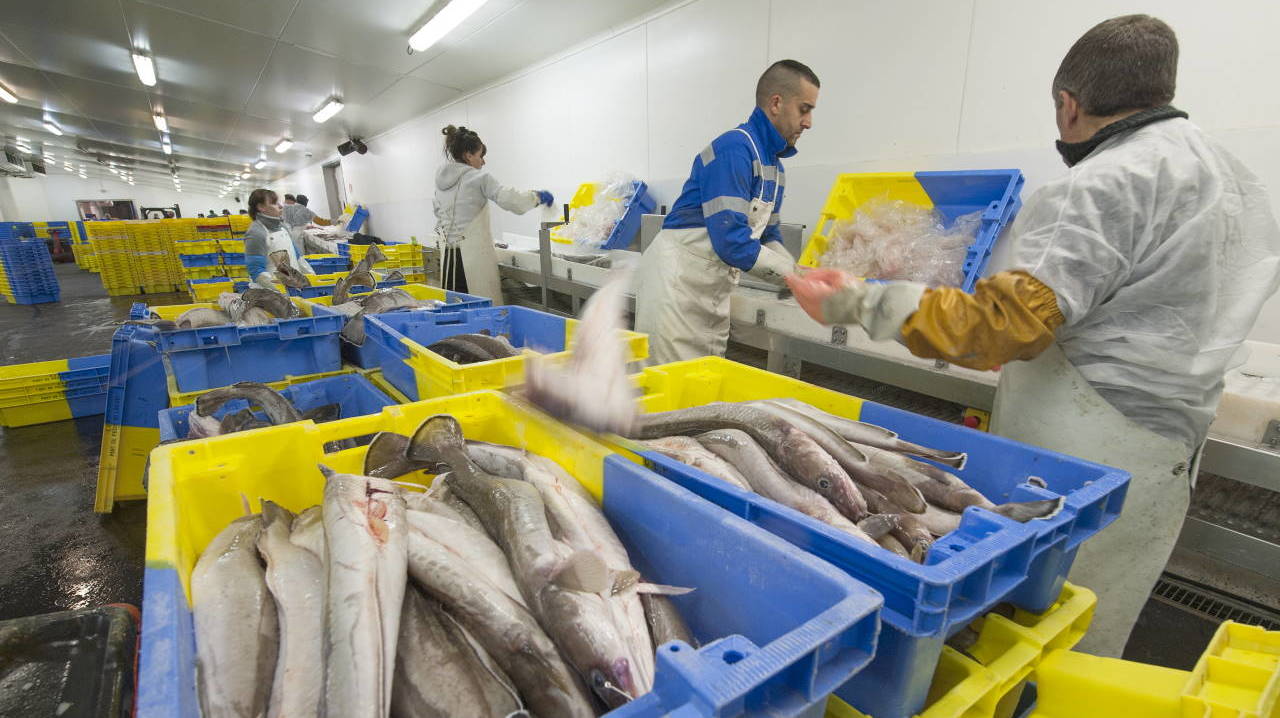 Caisses de poissons Port de pêche Lorient Keroman