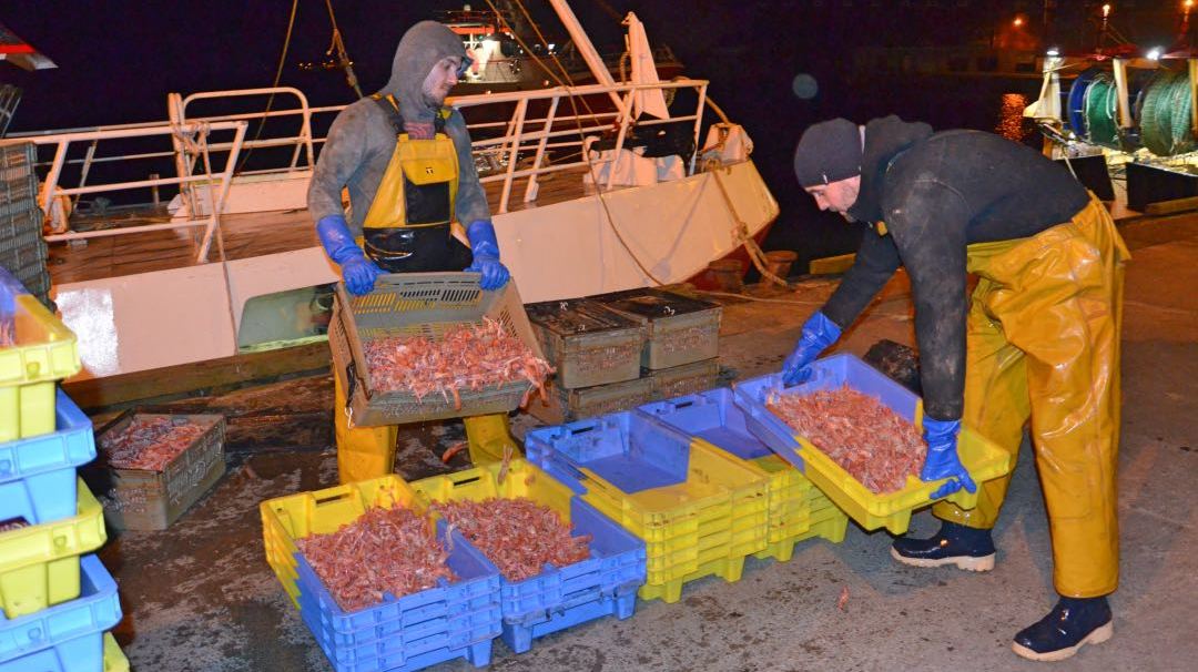 Pêche des langoustines Keroman