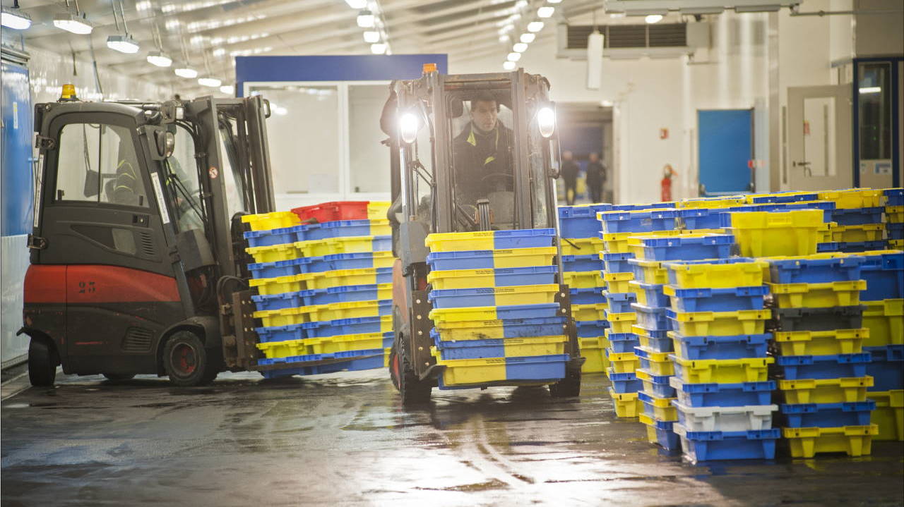 Opération job dating au port de pêche