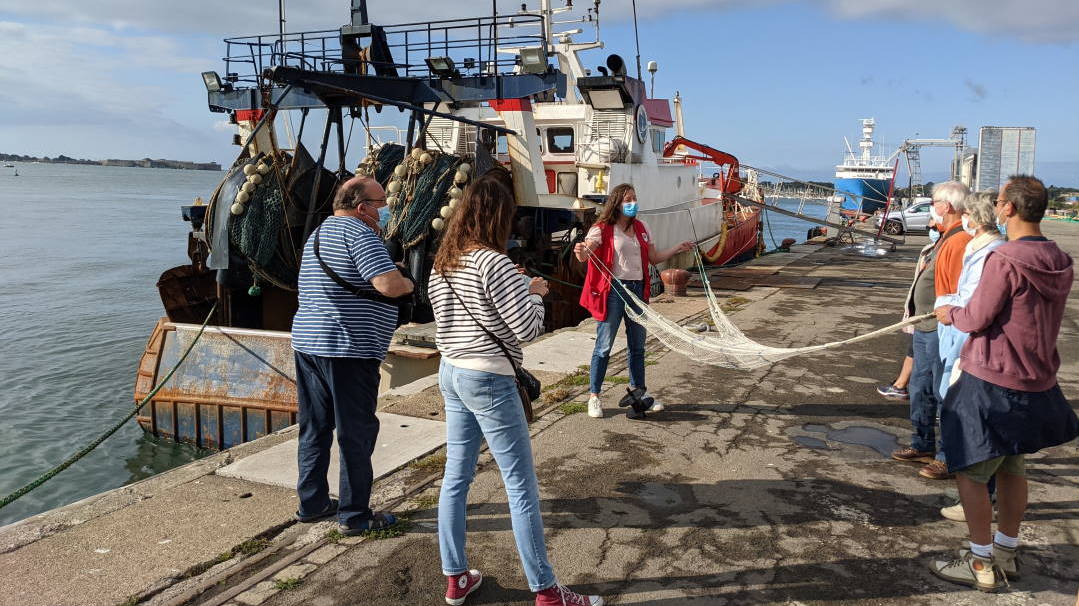 La marée du jour - Maison de la Mer
