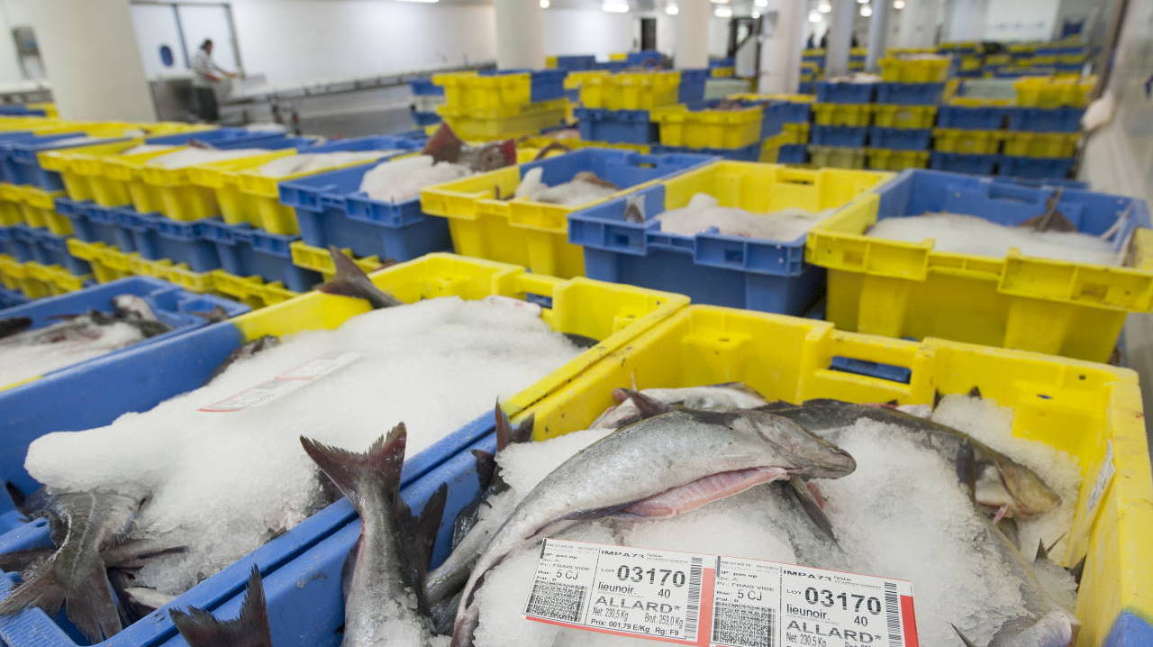 Réunion de crise au port de pêche de Lorient Keroman