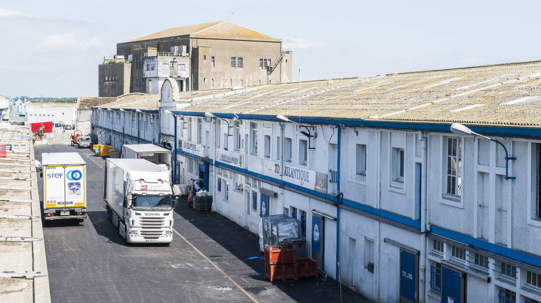 Travaux d'assainissement sur le port : objectif septembre 2022