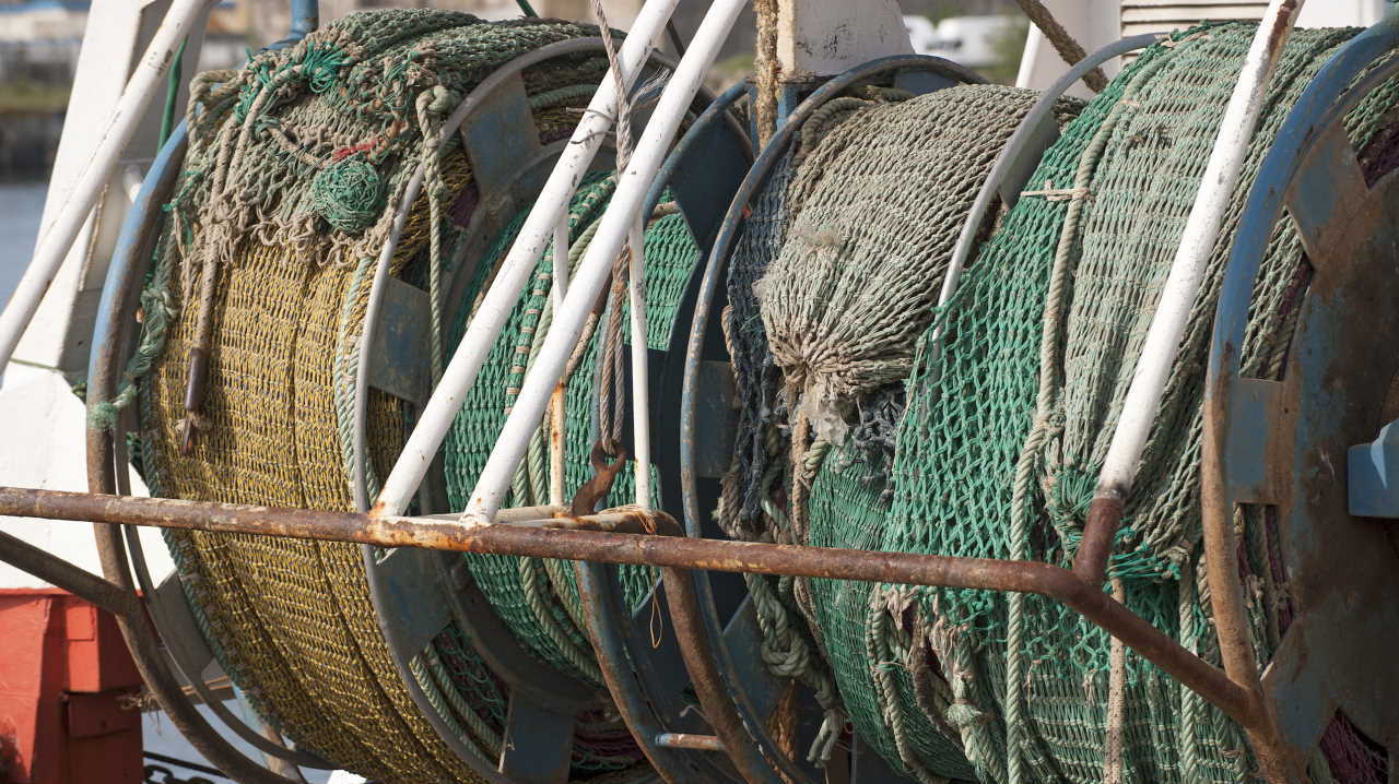 Chercheurs et industriels veulent inventer le filet bio