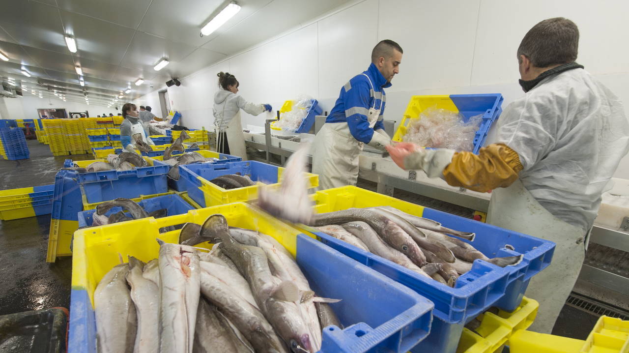 Brexit quelles conséquences pour le port de Lorient Keroman