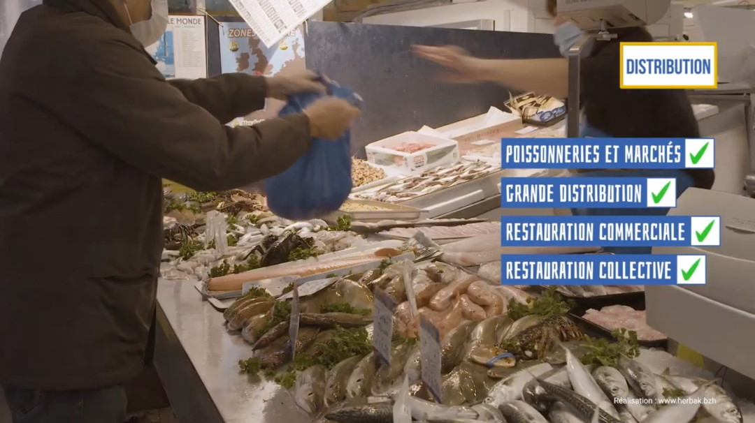 La filière pêche Lorientaise - La mise en marché