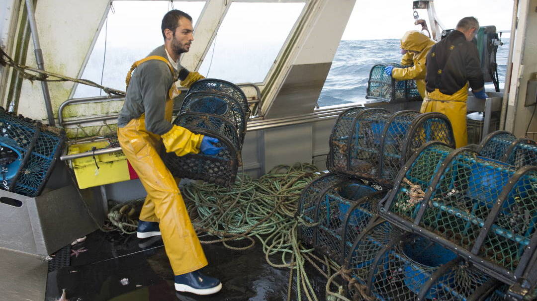 Bateau de pêche