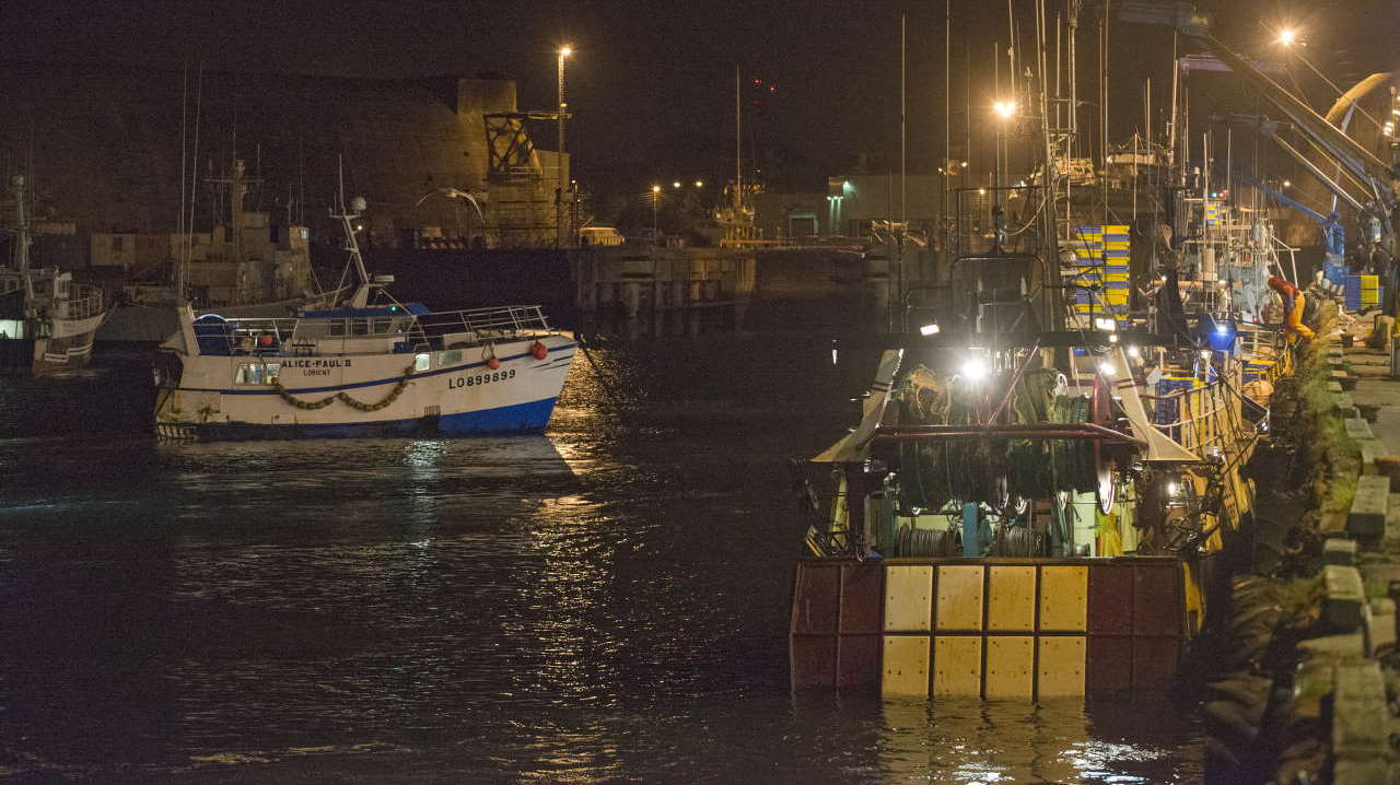 Le port s’équipe de bornes automatisées le long des quais