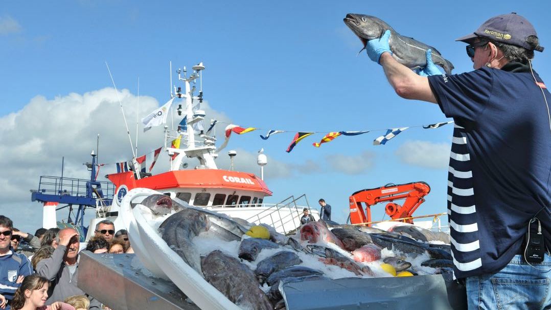 Vente de poisson à la criée