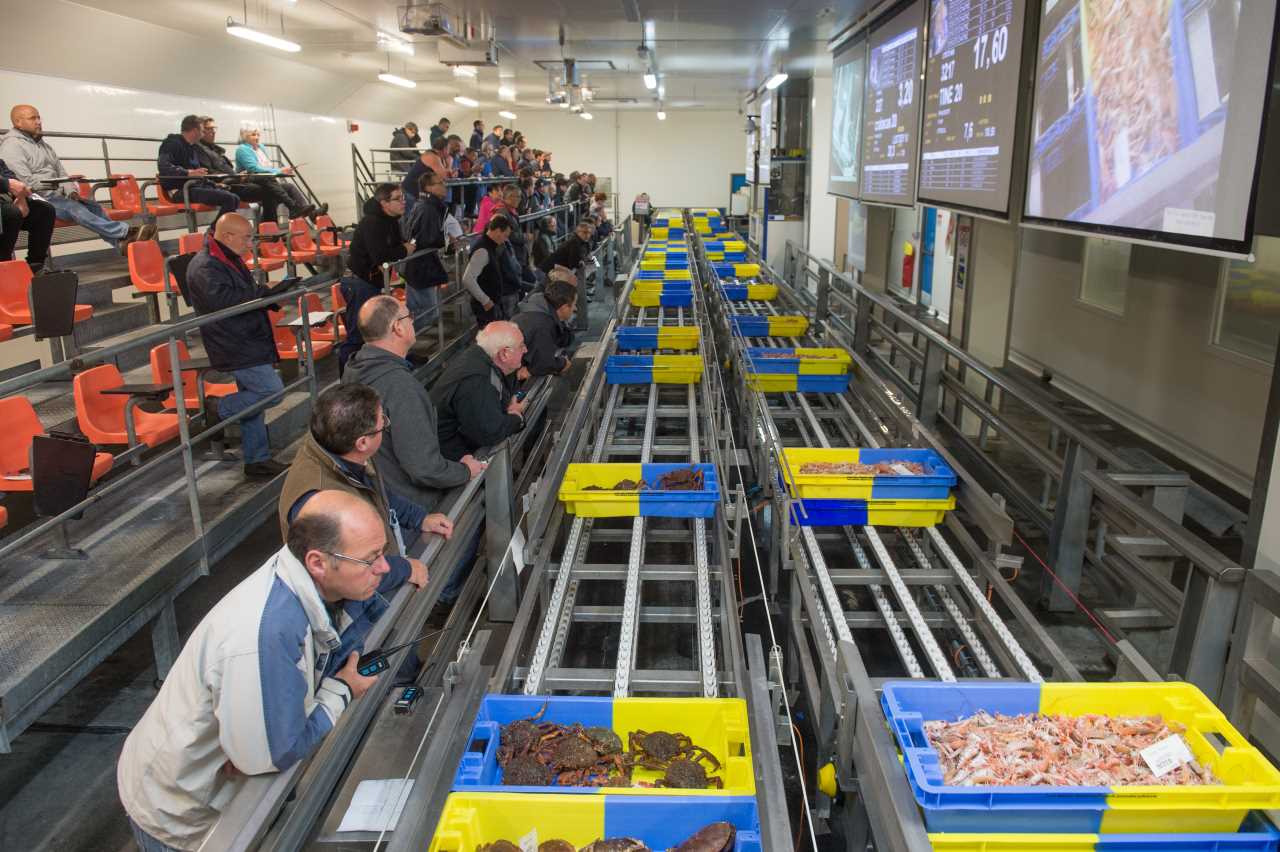 A La criée, la vente est automatisée