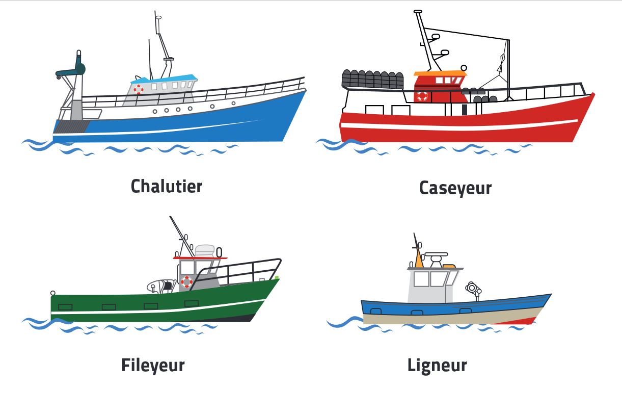 Types de bateaux de pêche Lorient Keroman