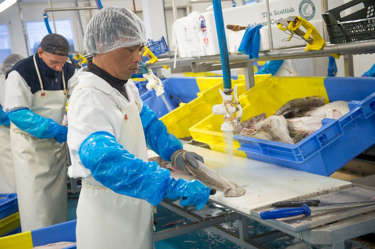 Atelier de marée au port de pêche Lorient Keroman