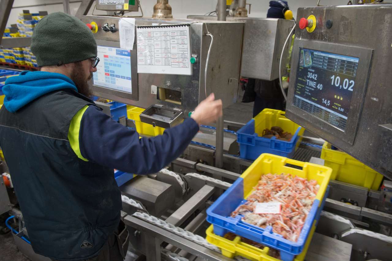 pesée et contrôle des caisses