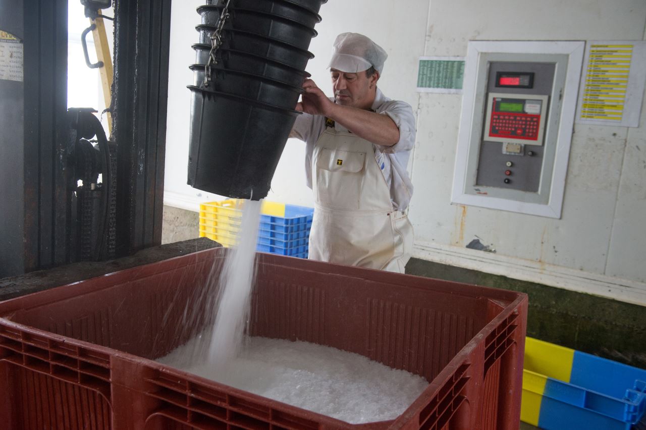production de glace